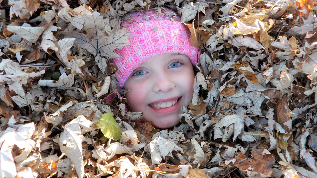 Leaf Piles